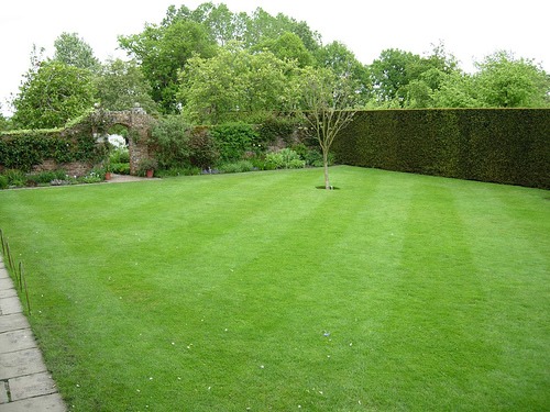 Lawn-Mowing
